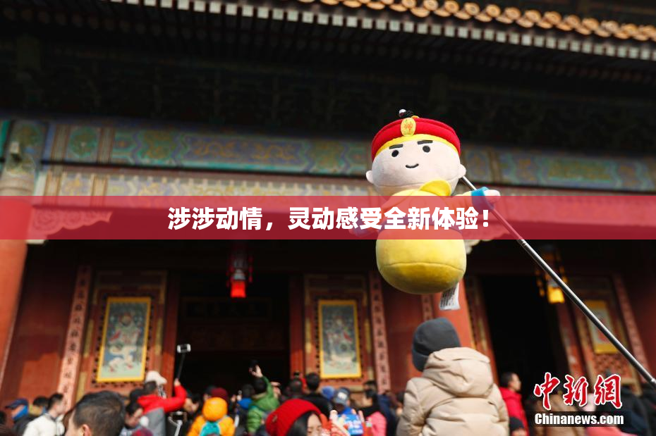 涉涉动情，灵动感受全新体验！