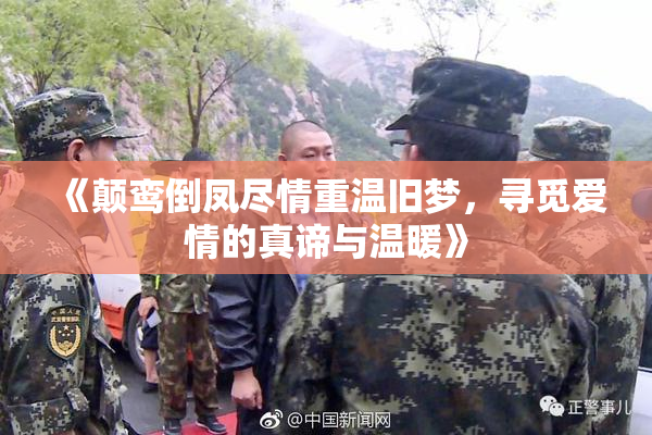 《颠鸾倒凤尽情重温旧梦，寻觅爱情的真谛与温暖》