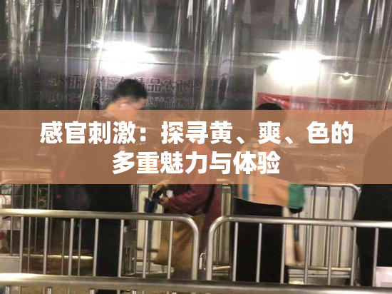 感官刺激：探寻黄、爽、色的多重魅力与体验