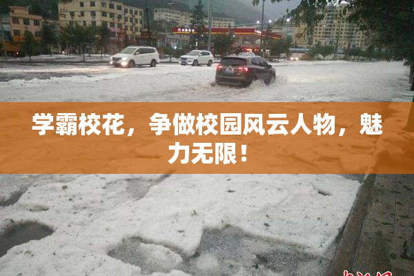 学霸校花，争做校园风云人物，魅力无限！