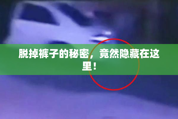 脱掉裤子的秘密，竟然隐藏在这里！