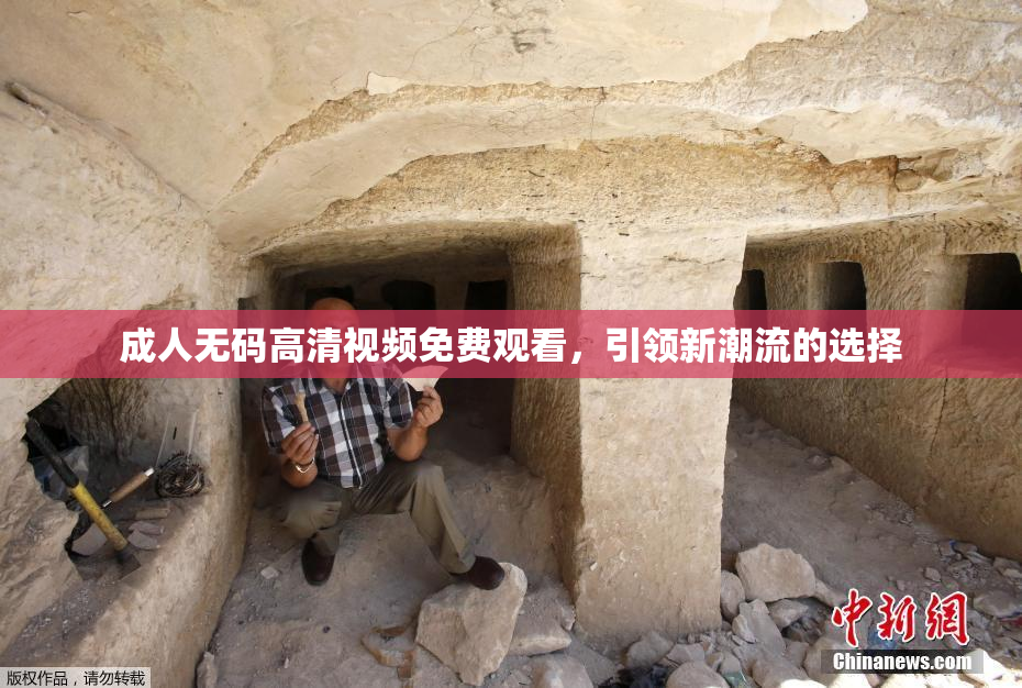 成人无码高清视频免费观看，引领新潮流的选择
