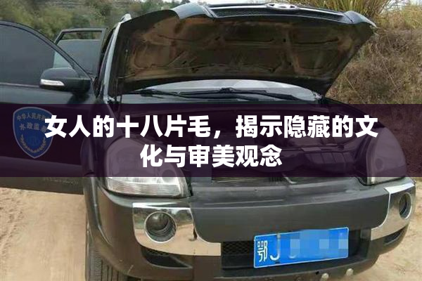女人的十八片毛，揭示隐藏的文化与审美观念