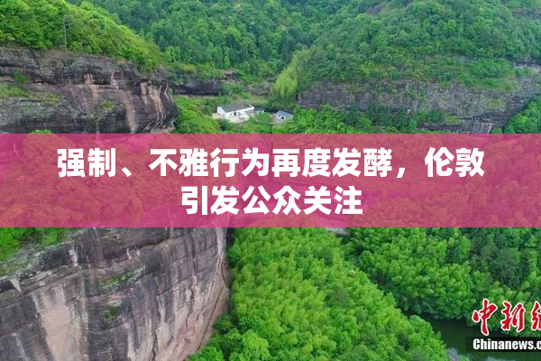 强制、不雅行为再度发酵，伦敦引发公众关注