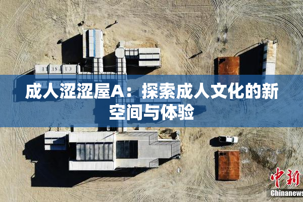 成人涩涩屋A：探索成人文化的新空间与体验