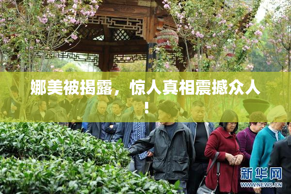 娜美被揭露，惊人真相震撼众人!