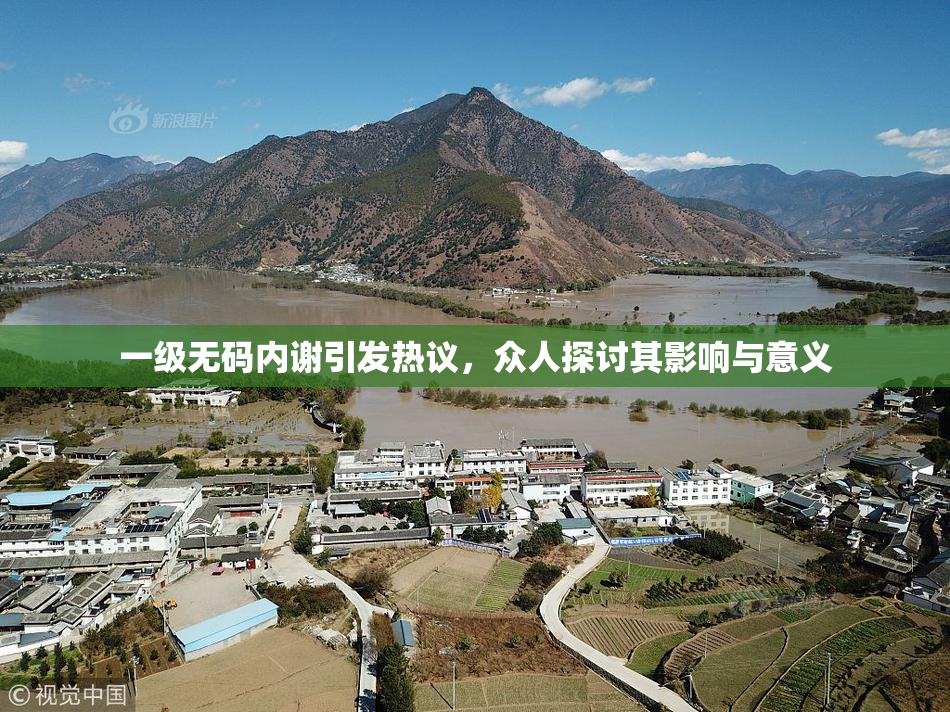 一级无码内谢引发热议，众人探讨其影响与意义