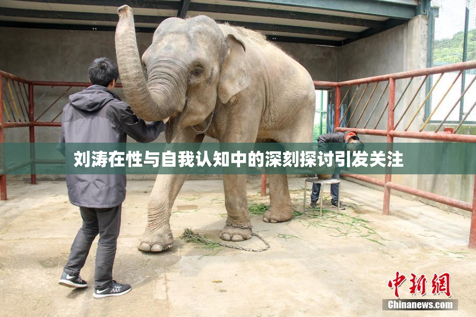 刘涛在性与自我认知中的深刻探讨引发关注
