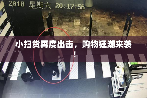 小扫货再度出击，购物狂潮来袭！