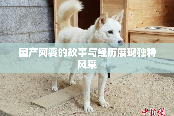 国产阿婆的故事与经历展现独特风采