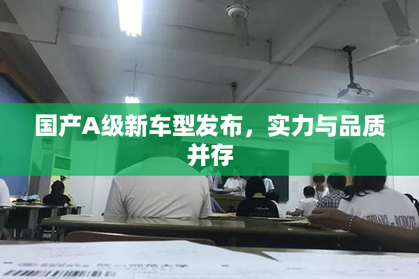 国产A级新车型发布，实力与品质并存