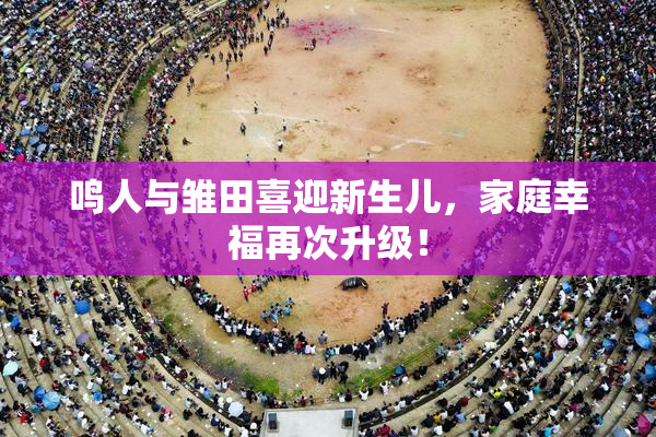 鸣人与雏田喜迎新生儿，家庭幸福再次升级！