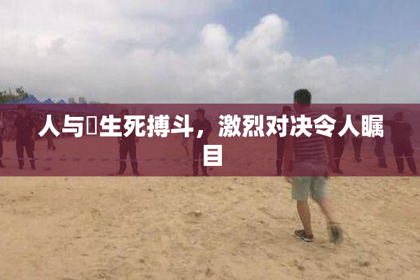 人与嘼生死搏斗，激烈对决令人瞩目