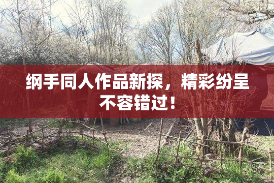纲手同人作品新探，精彩纷呈不容错过！