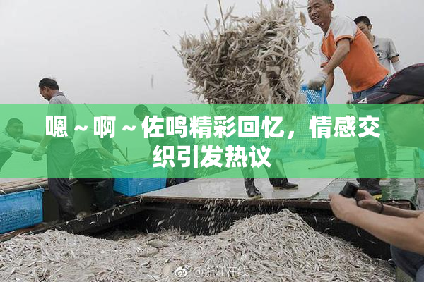 嗯～啊～佐鸣精彩回忆，情感交织引发热议