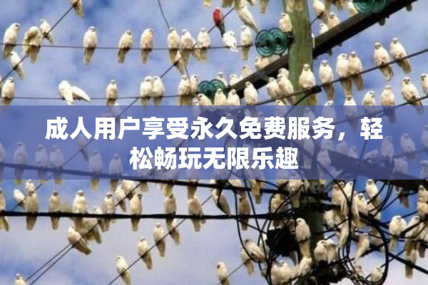 成人用户享受永久免费服务，轻松畅玩无限乐趣
