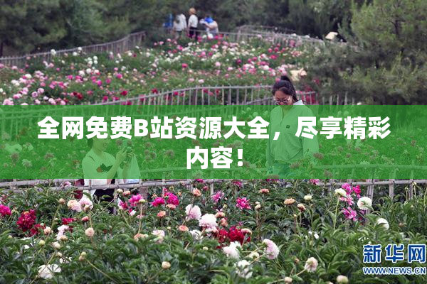 全网免费B站资源大全，尽享精彩内容！