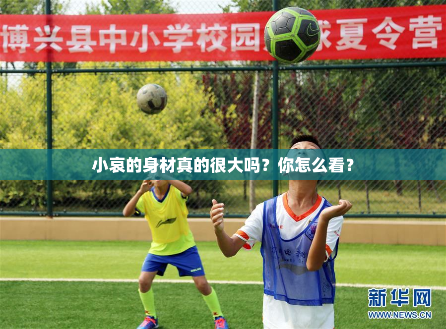 小哀的身材真的很大吗？你怎么看？