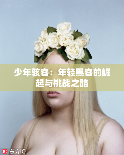 少年骇客：年轻黑客的崛起与挑战之路