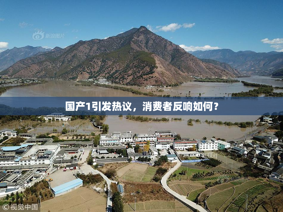 国产1引发热议，消费者反响如何？