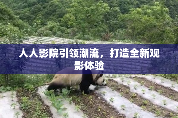 人人影院引领潮流，打造全新观影体验