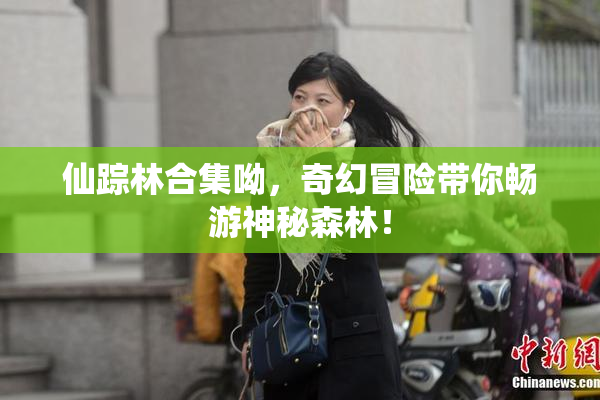 仙踪林合集呦，奇幻冒险带你畅游神秘森林！