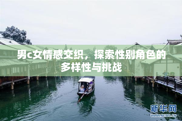 男c女情感交织，探索性别角色的多样性与挑战