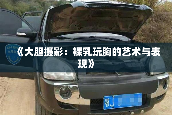 《大胆摄影：裸乳玩胸的艺术与表现》