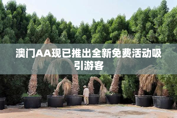 澳门AA现已推出全新免费活动吸引游客