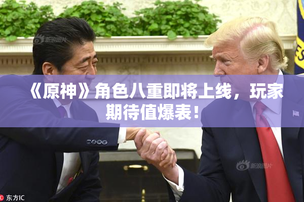 《原神》角色八重即将上线，玩家期待值爆表！