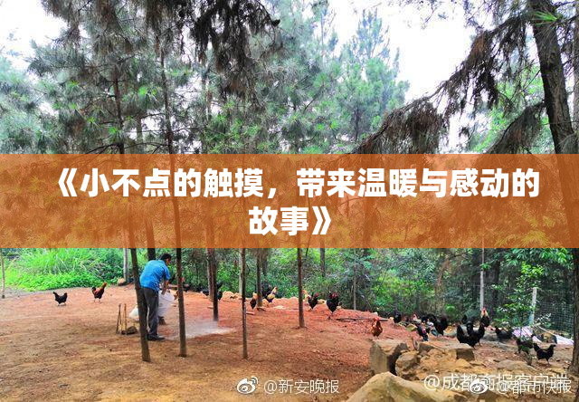《小不点的触摸，带来温暖与感动的故事》