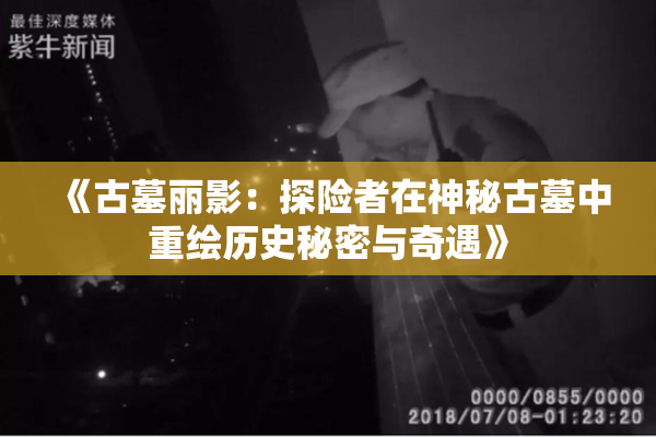 《古墓丽影：探险者在神秘古墓中重绘历史秘密与奇遇》