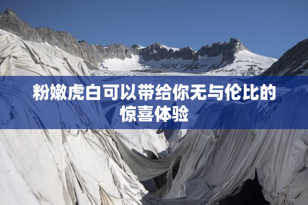 粉嫩虎白可以带给你无与伦比的惊喜体验