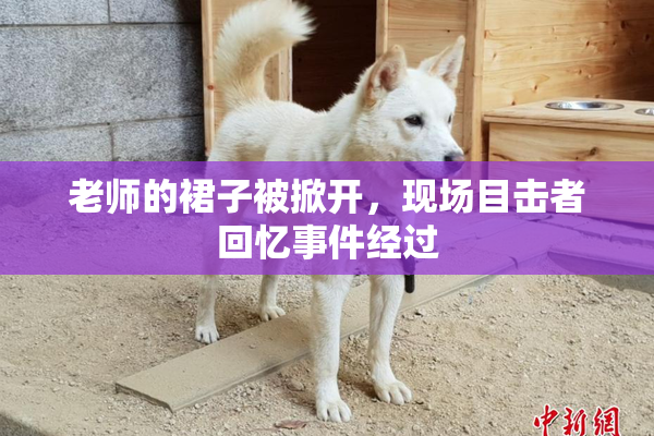 老师的裙子被掀开，现场目击者回忆事件经过