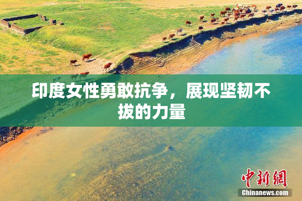 印度女性勇敢抗争，展现坚韧不拔的力量