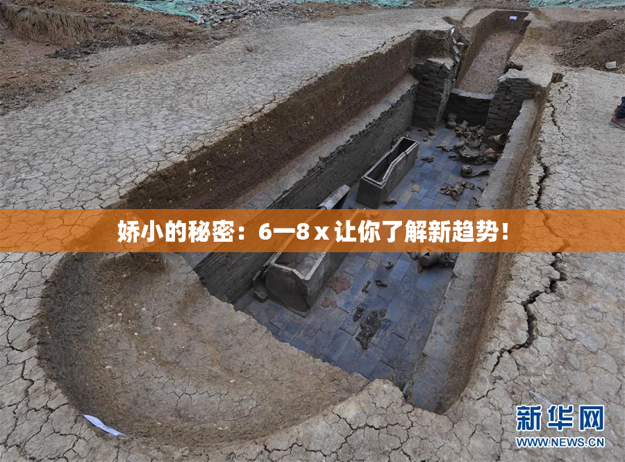 娇小的秘密：6一8ⅹ让你了解新趋势！