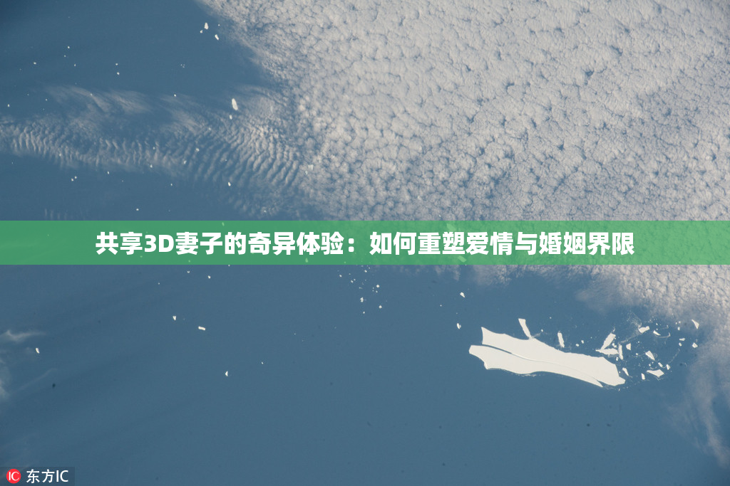 共享3D妻子的奇异体验：如何重塑爱情与婚姻界限