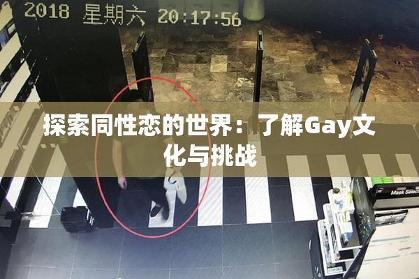 探索同性恋的世界：了解Gay文化与挑战