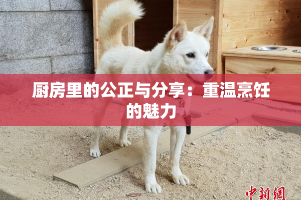 厨房里的公正与分享：重温烹饪的魅力