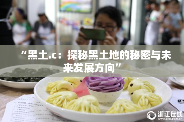 “黑土.c：探秘黑土地的秘密与未来发展方向”