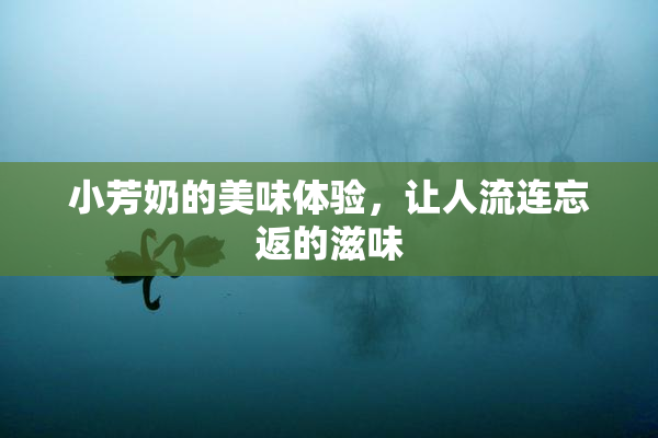 小芳奶的美味体验，让人流连忘返的滋味