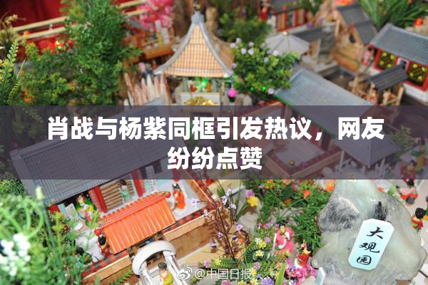 肖战与杨紫同框引发热议，网友纷纷点赞