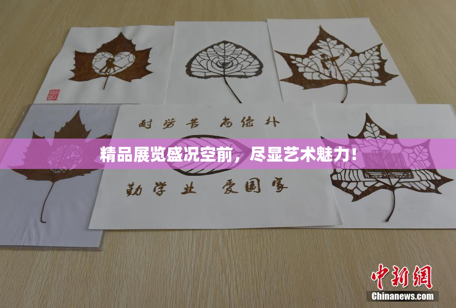 精品展览盛况空前，尽显艺术魅力！