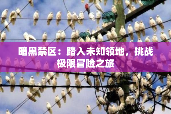 暗黑禁区：踏入未知领地，挑战极限冒险之旅