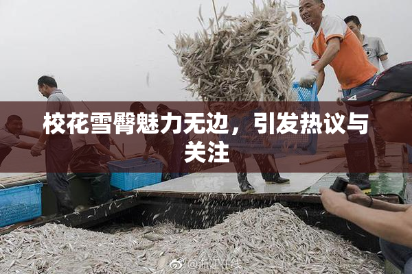 校花雪臀魅力无边，引发热议与关注
