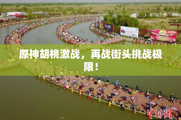原神胡桃激战，再战街头挑战极限！