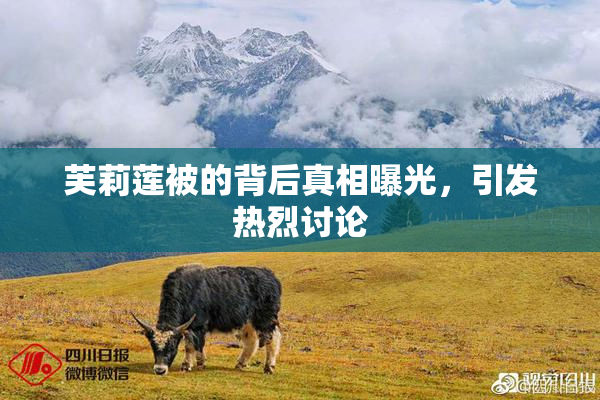 芙莉莲被的背后真相曝光，引发热烈讨论