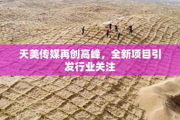 天美传媒再创高峰，全新项目引发行业关注