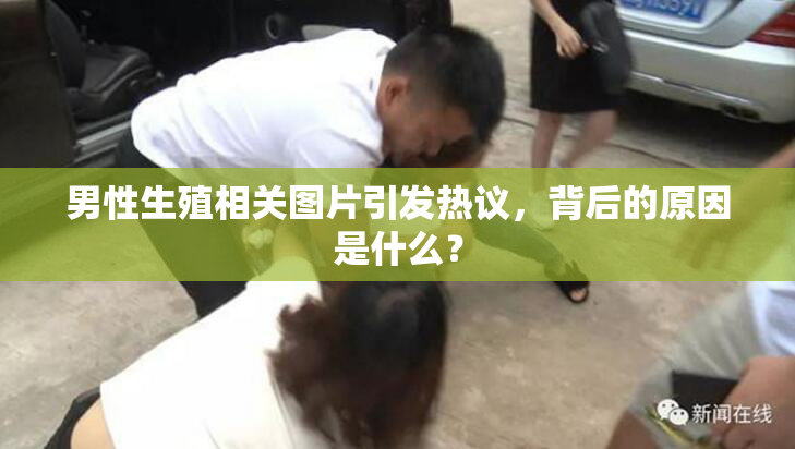 男性生殖相关图片引发热议，背后的原因是什么？