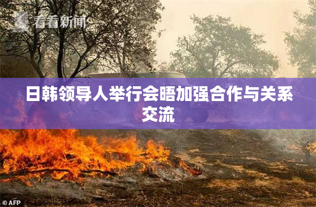日韩领导人举行会晤加强合作与关系交流